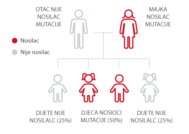 Genetske Analize