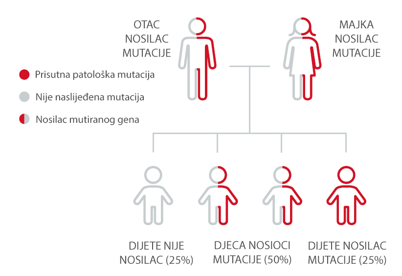 grafi Genetske Analize